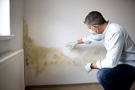 Best Commercial Mold Inspection  in Hudson, TX